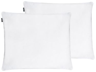 Kopfkissen 2er Set FELDBERG Hoch Entenfedern und Daunen 50 x 60 cm Weiß
