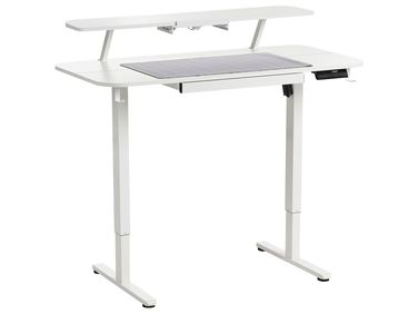 Electric Adjustable Standing Desk WILBANKS White 120 cm 60 cm with USB Port