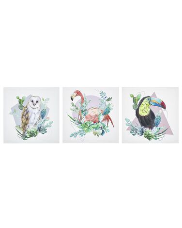 Leinwand 3er Set MENAKA Tiermotiv 30 x 30 cm Bunt