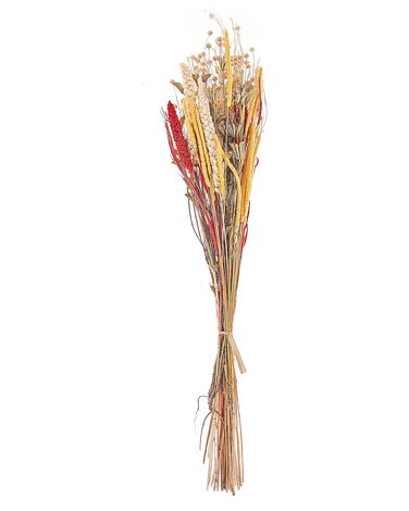 Dried Flower Bouquet PAMPELUNA 65 cm Natural