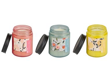 Duftkerzen 3er Set FRUITY BLOOM Sojawachs Orientalische Note Krautige Note Blumige Note