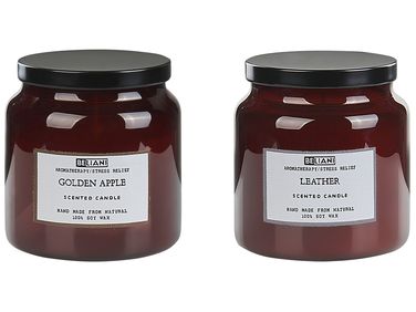 Set of 2 Scented Candles ABSOLUTE ALCHEMY Soy Wax Fruity Notes Fresh Notes