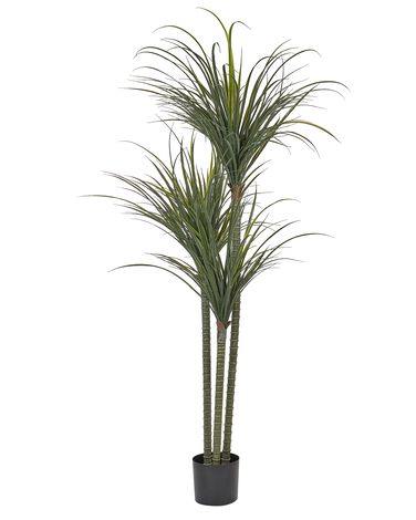 Artificial Plant DRACAENA ANITA 198 cm Green